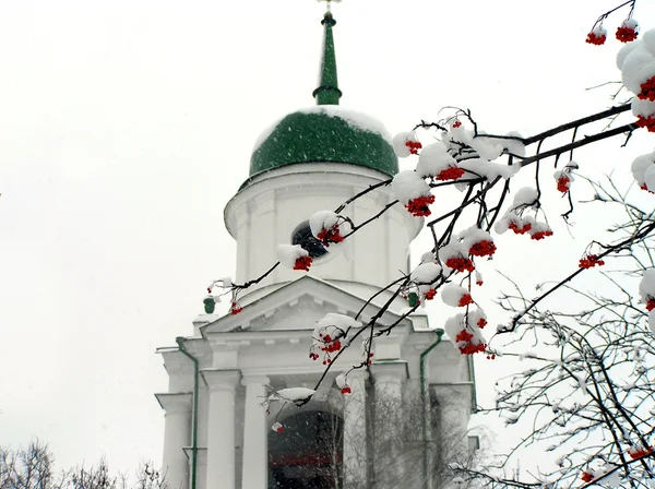 Bruncher av ashberry i snön mot kyrkan — Stockfoto