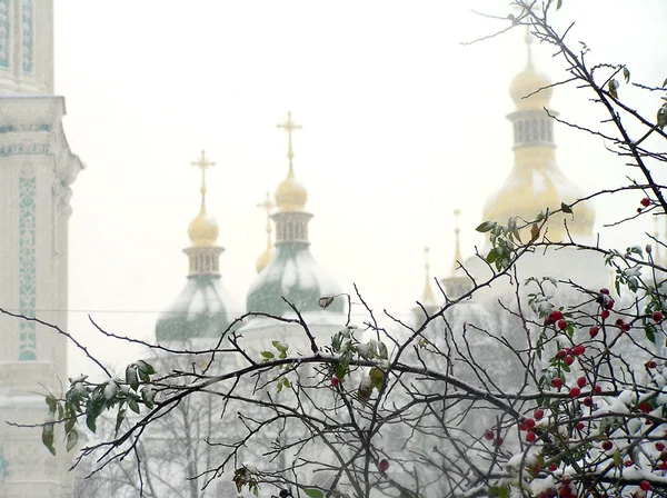 Brunches of dog rose in snow against the church — Stock Photo, Image