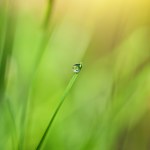 Free Stock photo of Grassy Landscape at Water Side in Iceland ...