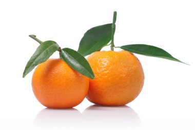 Tangerines with green leaves isolated on white clipart