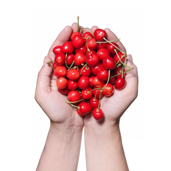 Mãos segurando cereja vermelha isolada em branco — Fotografia de Stock
