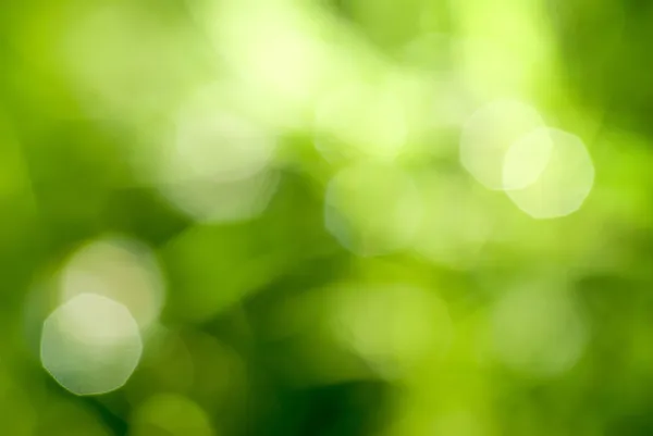 Abstrakter grüner natürlicher Hintergrund — Stockfoto