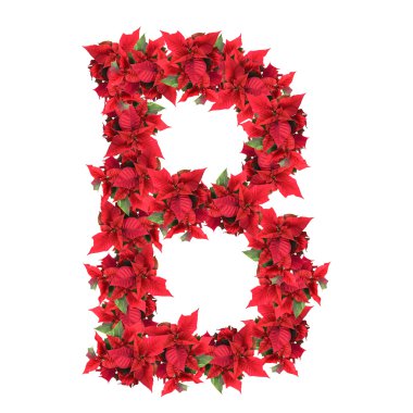 Letter from red christmas flowers isolated on white clipart