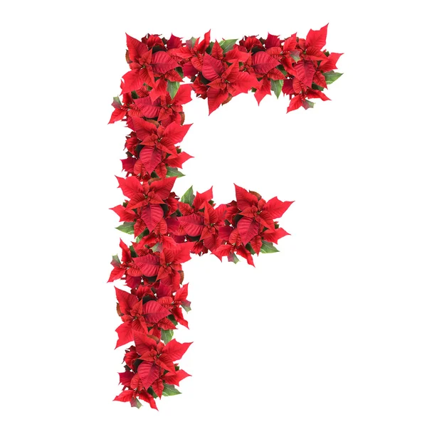 Mektup üzerine beyaz izole kırmızı yılbaşı çiçekleri — Stok fotoğraf
