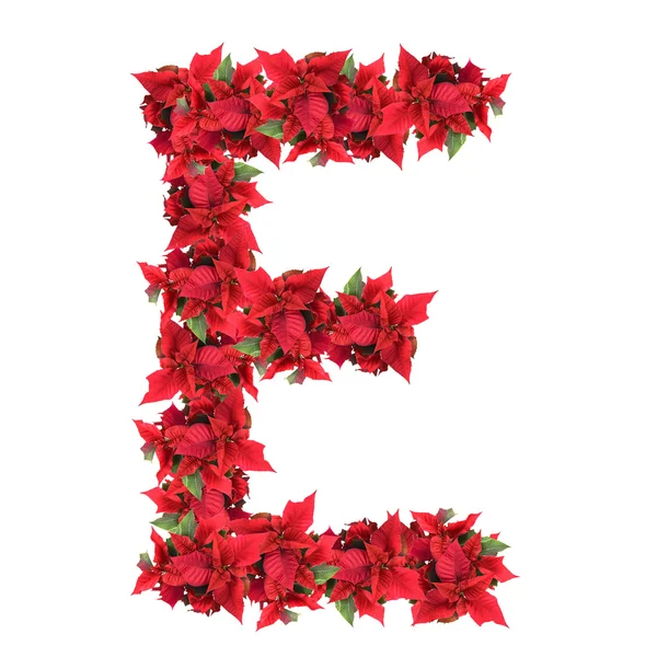Letter from red christmas flowers isolated on white — Stock Photo, Image