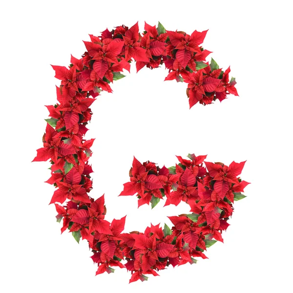 Lettera da fiori di Natale rossi isolati su whit — Foto Stock