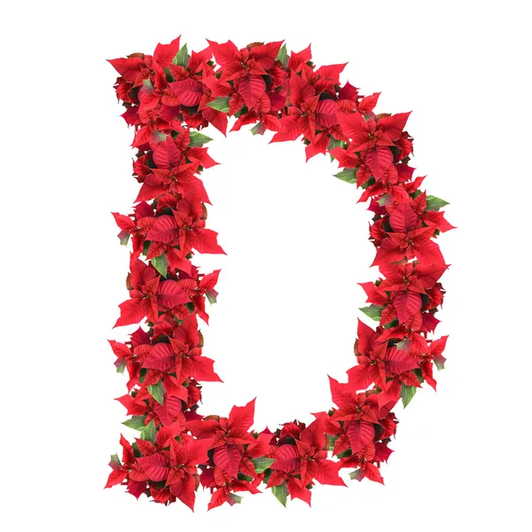 Letter from red christmas flowers isolated on whit — Stock Photo, Image