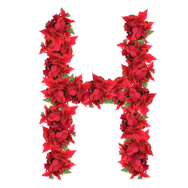 Dopis od červené květy vánoční izolované na bílém — Stock fotografie