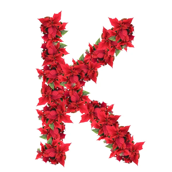 Lettera da fiori di Natale rossi isolati su bianco — Foto Stock