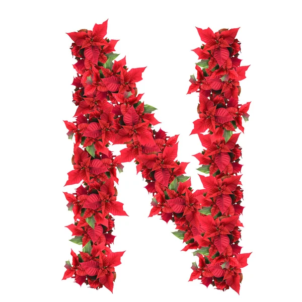 Carta de flores rojas de Navidad aisladas en blanco —  Fotos de Stock