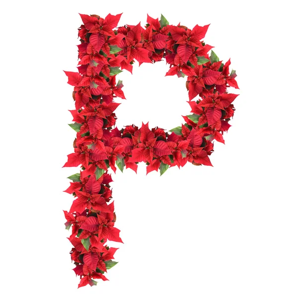 stock image Letter from red christmas flowers isolated on white