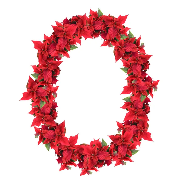Letter from red christmas flowers isolated on white — Stock Photo, Image