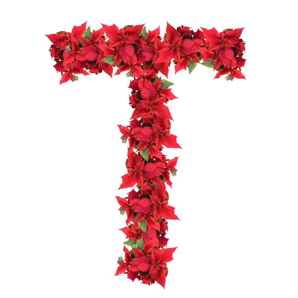 Mektup üzerine beyaz izole kırmızı yılbaşı çiçekleri — Stok fotoğraf