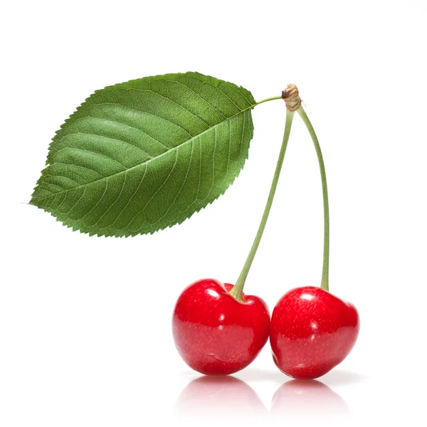 Czerwona wiśnia z liściem odizolowanym na białym — Zdjęcie stockowe