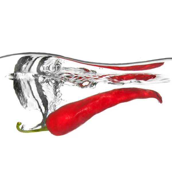 Rode peper gedaald in water met splash geïsoleerd op wit — Stockfoto