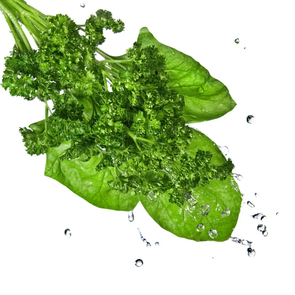 Gocce d'acqua su spinaci verdi e prezzemolo isolato su bianco — Foto Stock