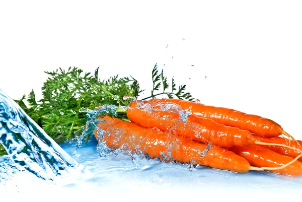 Salpicadura de agua dulce en la zanahoria con hojas aisladas en blanco —  Fotos de Stock
