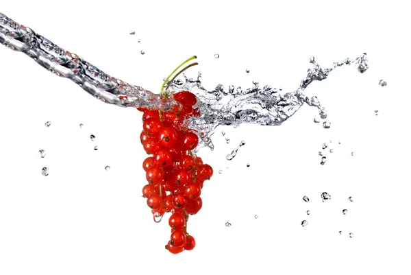 Röda vinbär och vatten droppar isolerad på vit — Stockfoto