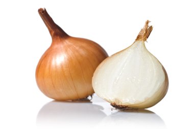 Onion isolated on white clipart