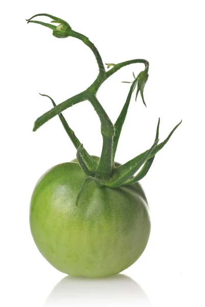 Green tomato isolated on white — Stock Photo, Image