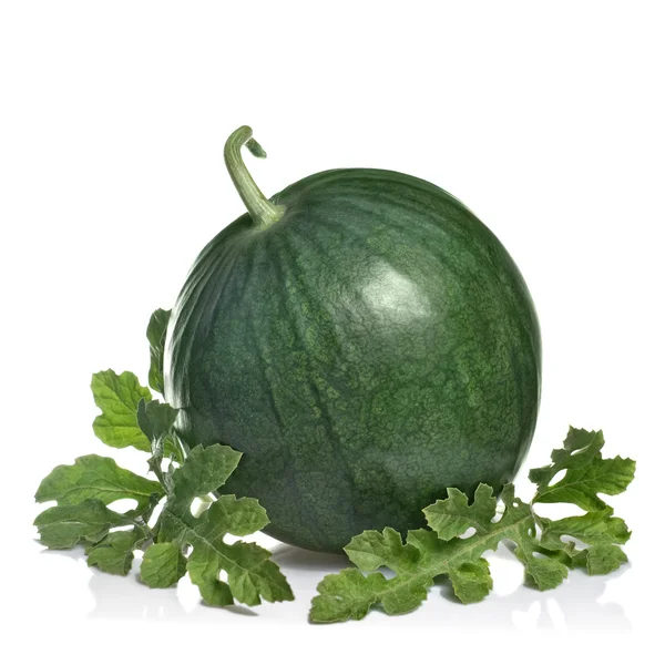 Watermelon with leaves isolated on white — Stock Photo, Image
