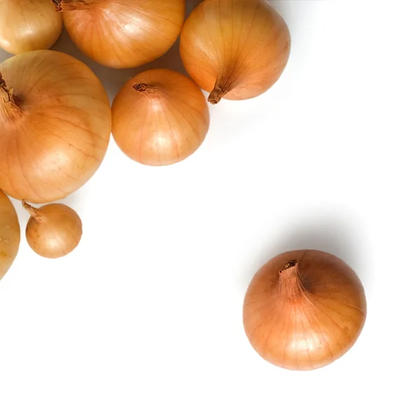 Onion isolated on white — Stock Photo, Image