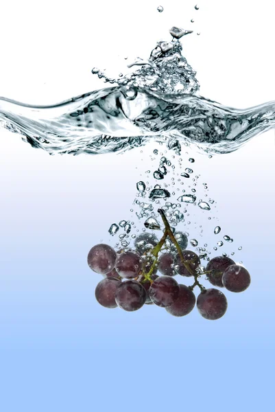 Голубой виноград упал в воду со всплеском, изолированным на белом — стоковое фото