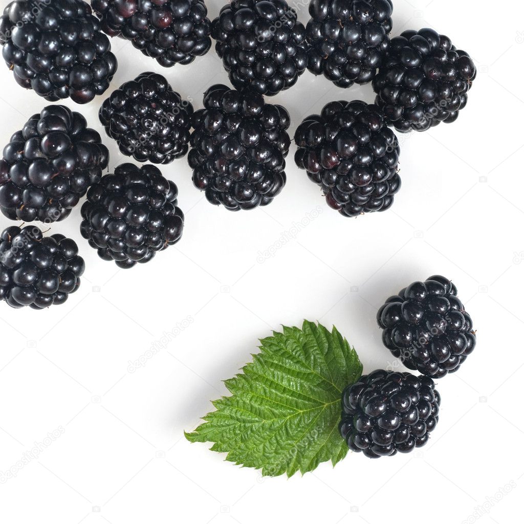 Blackberry with green leaf isolated on white