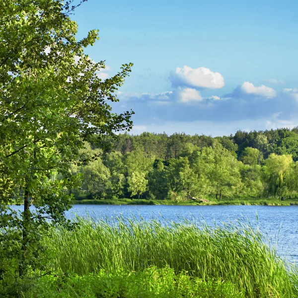 Yeşil çayır ve göl — Stok fotoğraf