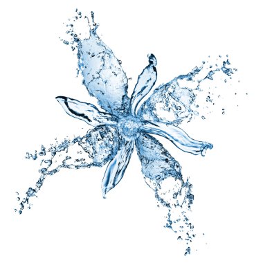Flower from water splashes isolated on white clipart