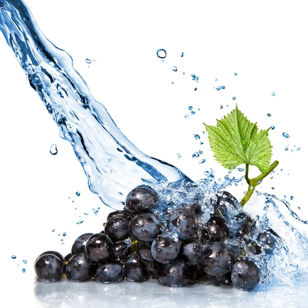 Uva azul com respingo de água isolado em branco — Fotografia de Stock