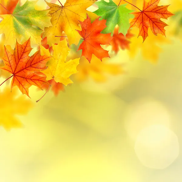 Задний план с осенними листьями — стоковое фото