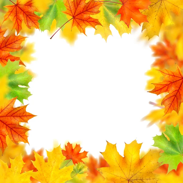 Marco de hojas de otoño aisladas en blanco — Foto de Stock