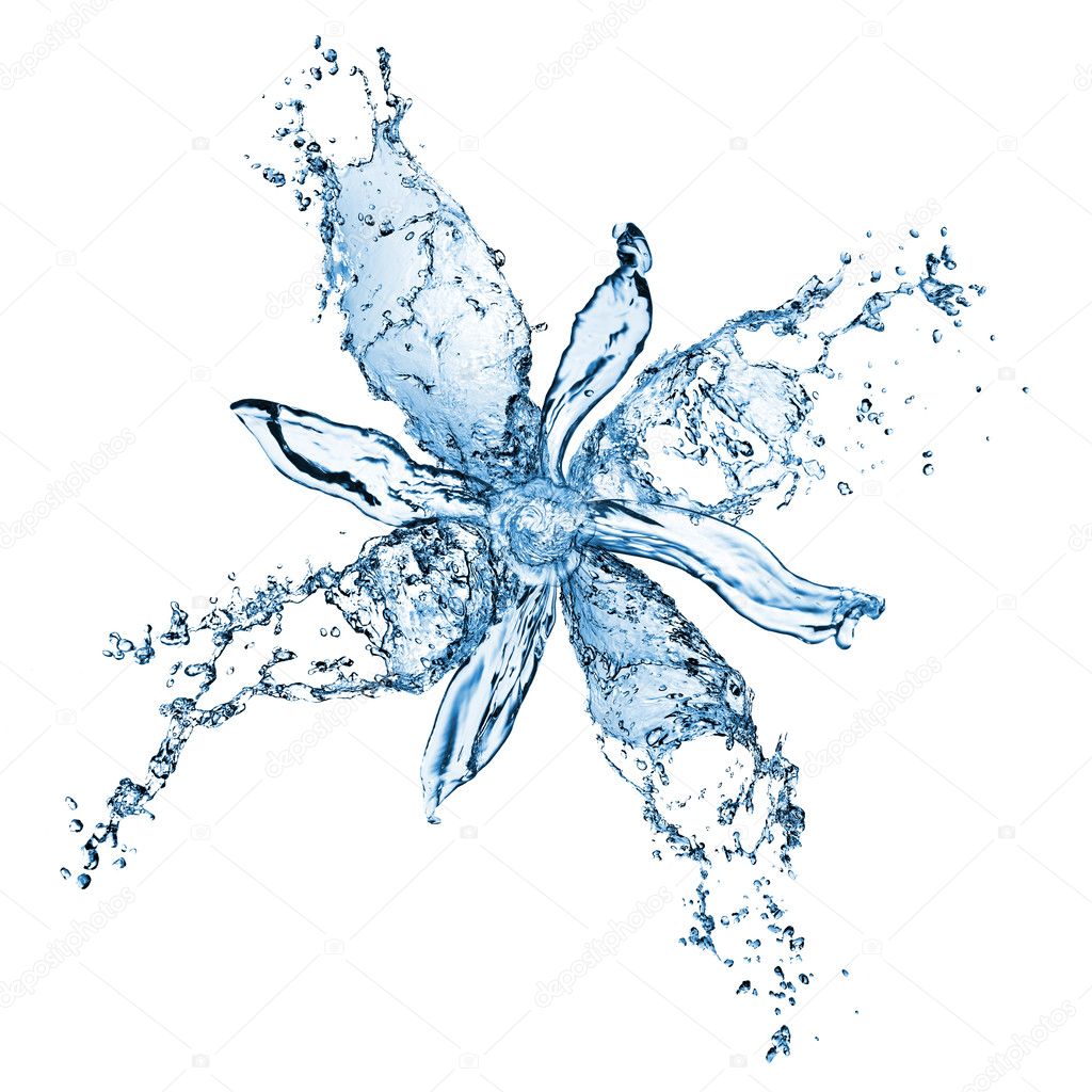 Flower from water splashes isolated on white