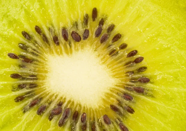 Extreme close seup of kiwi fruit — стоковое фото