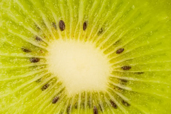 Macro verte de kiwi — Photo