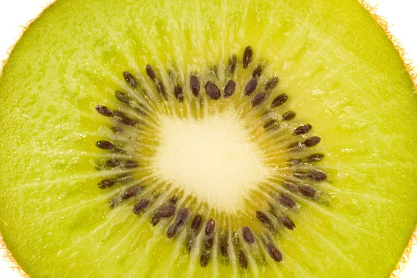 Vereinzelte Kiwi-Früchte — Stockfoto