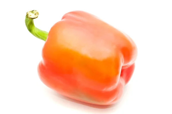 Paprika auf Weiß — Stockfoto