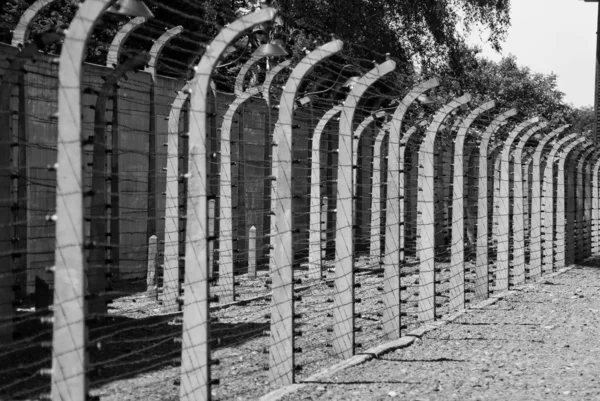 Drótkerítés, az Auschwitzi koncentrációs tábor — Stock Fotó