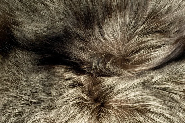 Fondo - hermosa piel de zorro polar —  Fotos de Stock