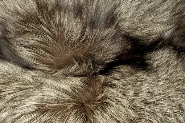 Αλεπού γούνα. χρήσιμο ως φόντο — Φωτογραφία Αρχείου