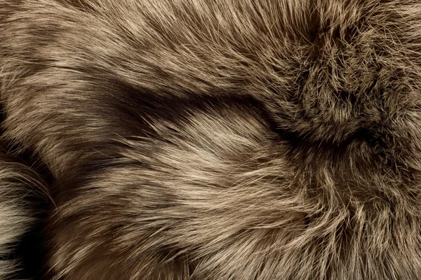 极地狐狸皮毛。有用的纹理 — 图库照片