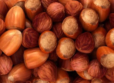 Hazel nuts and filbert texture clipart