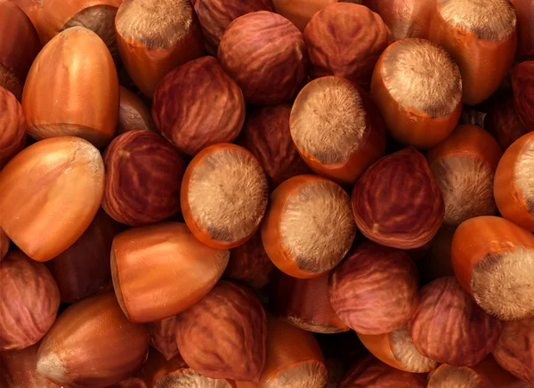 stock image Hazel nuts and filbert texture