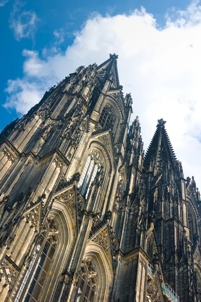 Вежі Koelner Dom Кельнський собор над Синє небо — стокове фото