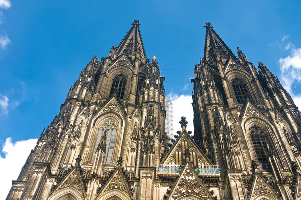 Cologne domkyrka saint peter och Maria — Stockfoto
