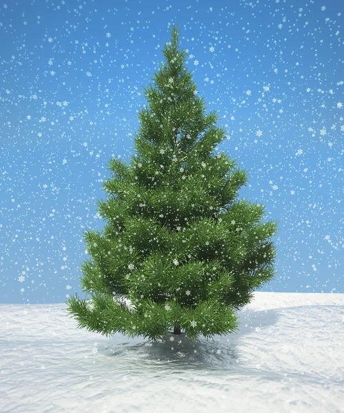 Vánoční firtree během sněžení — Stock fotografie