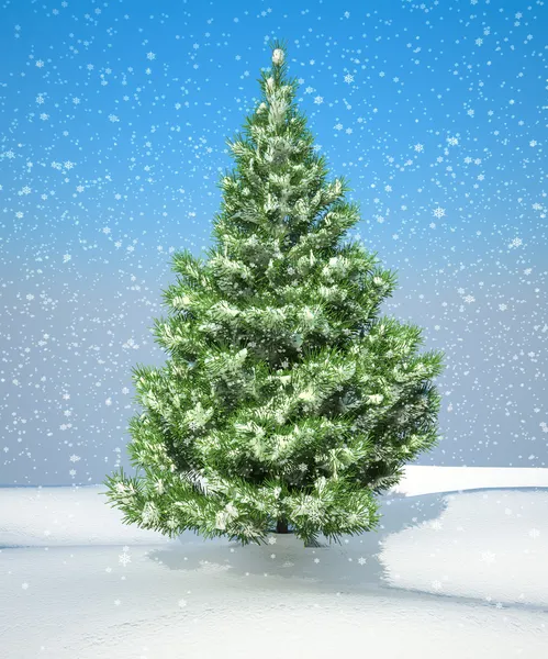 Árvore de Natal com neve — Fotografia de Stock
