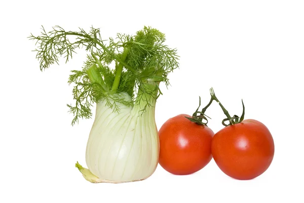 Tomate et fenouil — Photo