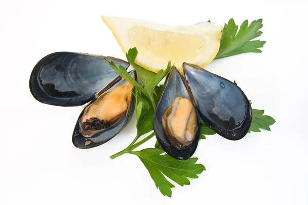 Two mussels with lemon and parsley — Stock Photo, Image